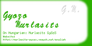 gyozo murlasits business card